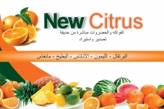 1 - Cartao New Citrus.ARABE