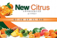 2 - Cartao New Citrus.CHINES