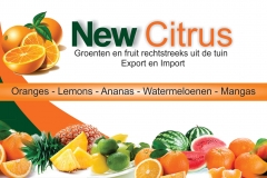 5 - Cartao New Citrus.HOLANDES