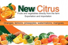 6 - Cartao New Citrus.INGLES