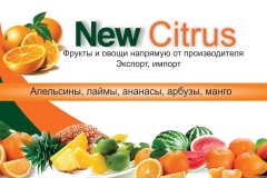 7 - Cartao New Citrus.RUSSO