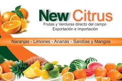 Cartão New Citrus.ESPANHOLL