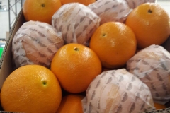 Naranjas Navel Cajas 15 kg