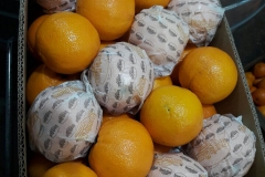 Naranjas Navel Cajas 15 kg