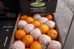 Naranjas Navel Cajas 15 kg