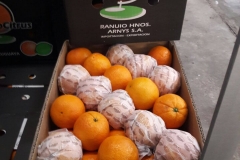Naranjas Navel Cajas 15 kg