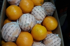 Naranjas Navel Cajas 15 kg