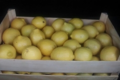 Limon Siciliano Brazil (20)