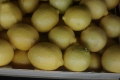 Limon Siciliano Brazil (21)