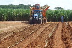plantio mecanizado 5