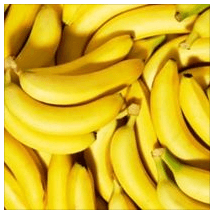 Banana Nanica