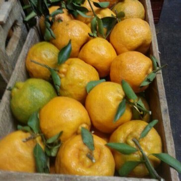 Tangerinas