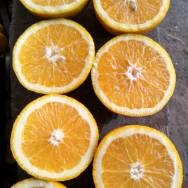 laranja natal