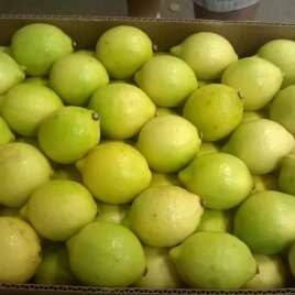 Limón Siciliano Producido en Brazil