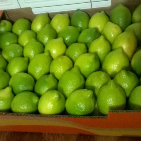 Limão-Siciliano-Embalado-16-kg