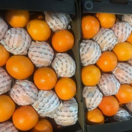 Naranjas Navel Cajas 10 kg